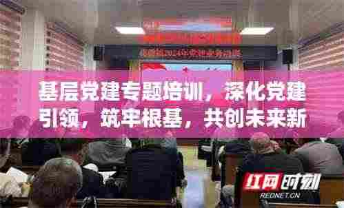 基层党建专题培训，深化党建引领，筑牢根基，共创未来新篇章
