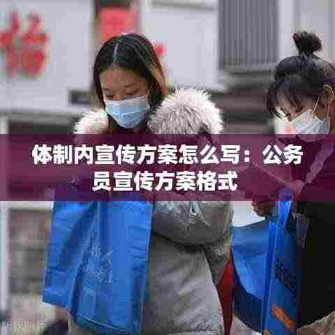体制内宣传方案怎么写:公务员宣传方案格式