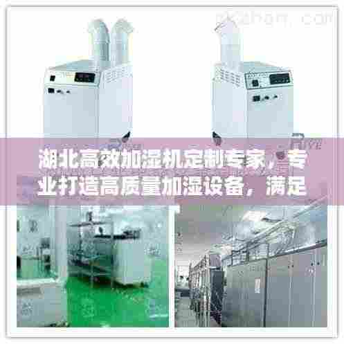 湖北高效加湿机定制专家,专业打造高质量加湿设备,满足您的个性化需求!