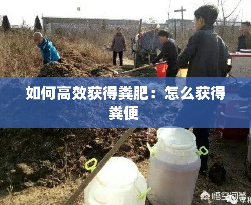 如何高效获得粪肥:怎么获得粪便