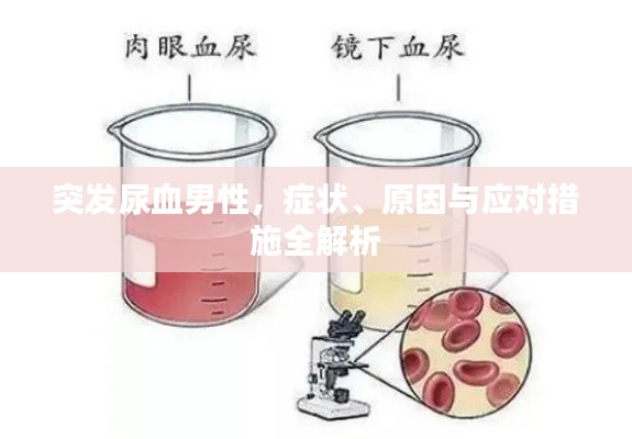 突发尿血男性,症状、原因与应对措施全解析
