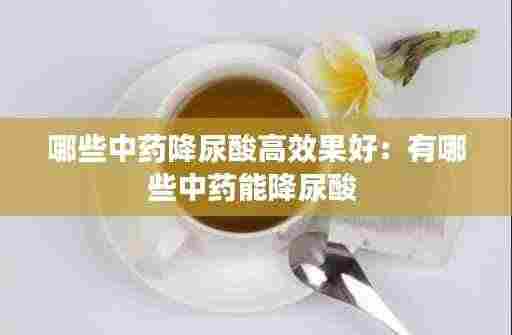 哪些中药降尿酸高效果好:有哪些中药能降尿酸