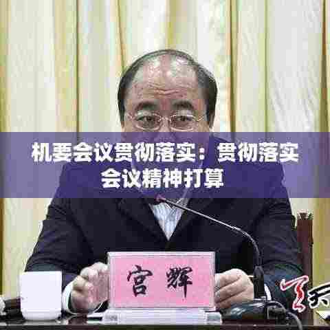 机要会议贯彻落实：贯彻落实会议精神打算 