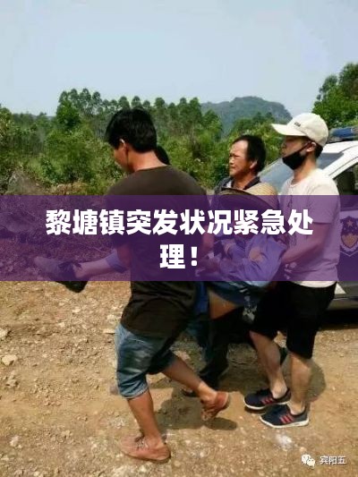 黎塘镇突发状况紧急处理！