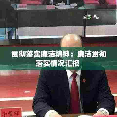 贯彻落实廉洁精神:廉洁贯彻落实情况汇报