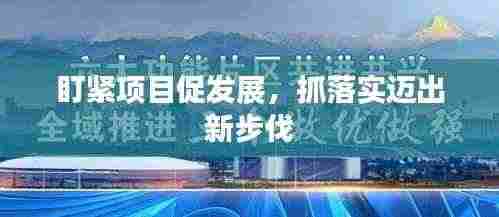 盯紧项目促发展,抓落实迈出新步伐