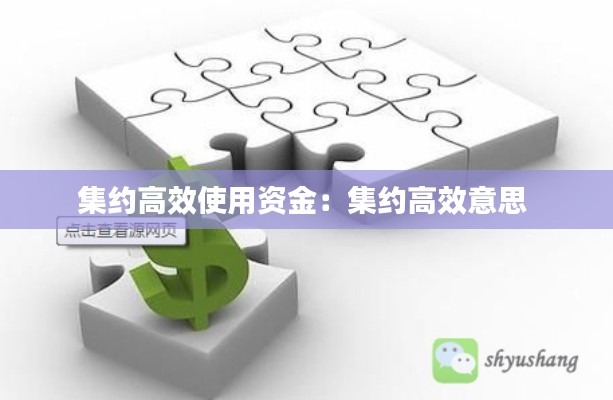 集约高效使用资金：集约高效意思 