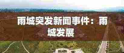 雨城突发新闻事件:雨城发展