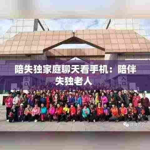 陪失独家庭聊天看手机:陪伴失独老人