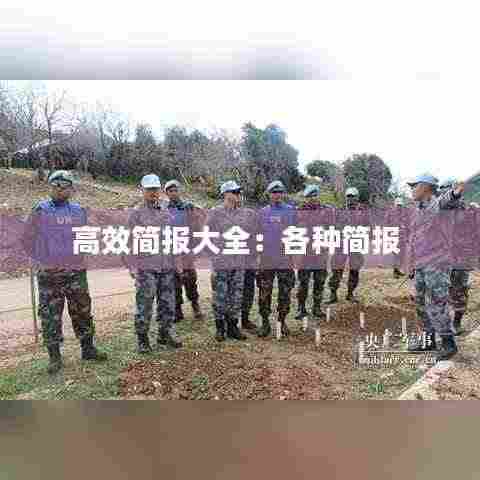 高效简报大全：各种简报 