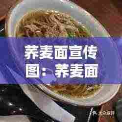 荞麦面宣传图:荞麦面简介