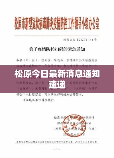 松原今日最新消息通知速递