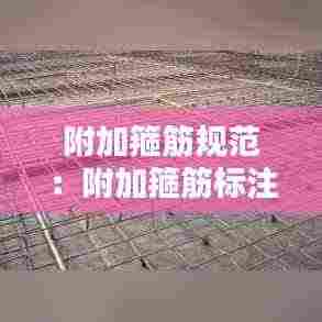 附加箍筋规范:附加箍筋标注