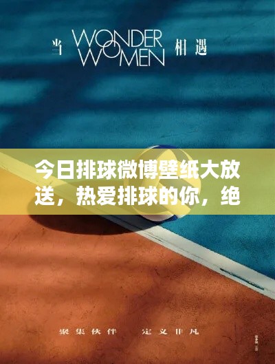 今日排球微博壁纸大放送,热爱排球的你,绝对不能错过的视觉盛宴!