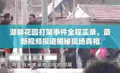 湖畔花园打架事件全程实录,最新视频报道揭秘现场真相