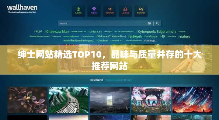 绅士网站精选TOP10，品味与质量并存的十大推荐网站