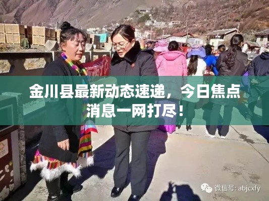 金川县最新动态速递，今日焦点消息一网打尽！