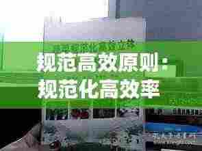 规范高效原则：规范化高效率 