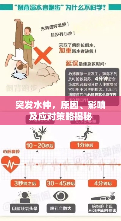 突发水仲,原因、影响及应对策略揭秘