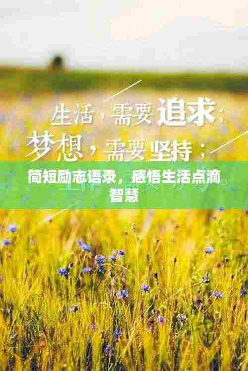 简短励志语录，感悟生活点滴智慧