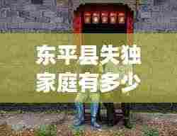 东平县失独家庭有多少:2020年失独家庭有多少