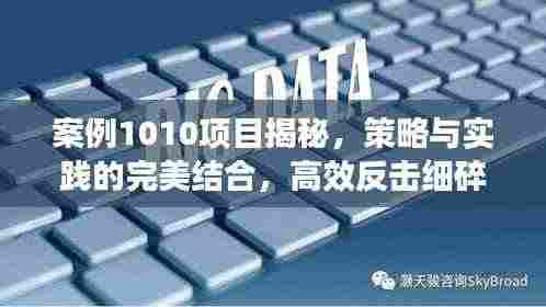 案例1010项目揭秘,策略与实践的完美结合,高效反击细碎挑战