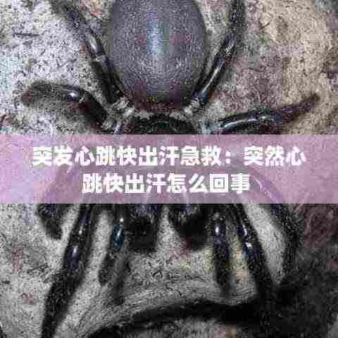 突发心跳快出汗急救:突然心跳快出汗怎么回事