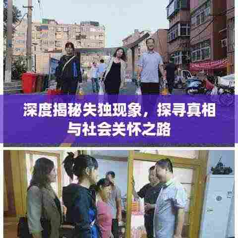 深度揭秘失独现象，探寻真相与社会关怀之路