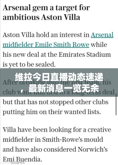 维拉今日直播动态速递，最新消息一览无余