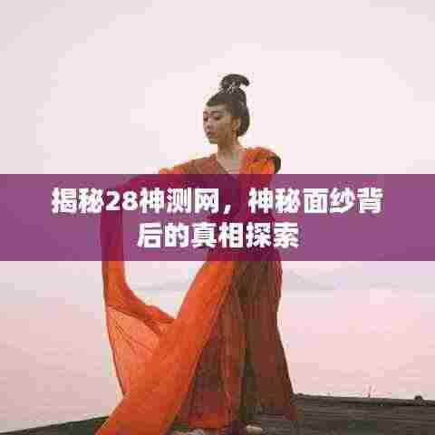 揭秘28神测网,神秘面纱背后的真相探索