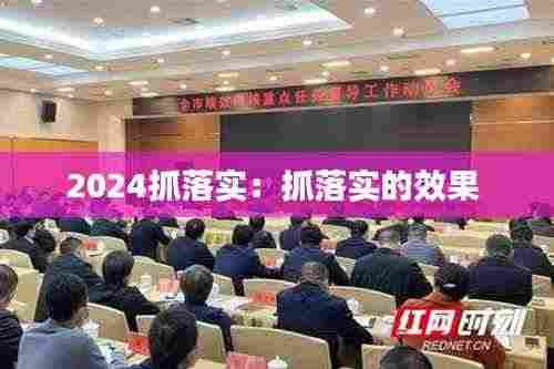 2024抓落实:抓落实的效果