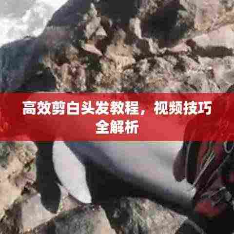 高效剪白头发教程，视频技巧全解析