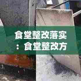 食堂整改落实:食堂整改方案格式范文