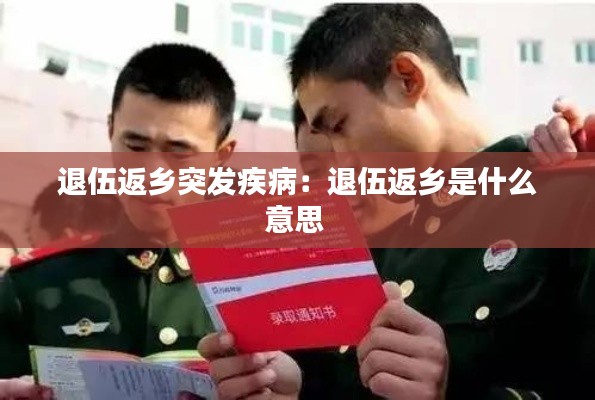 退伍返乡突发疾病:退伍返乡是什么意思