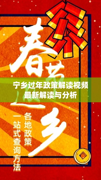 宁乡过年政策解读视频最新解读与分析