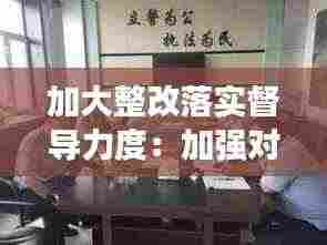加大整改落实督导力度:加强对整改工作的督导检查