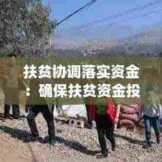 扶贫协调落实资金:确保扶贫资金投入有力有效