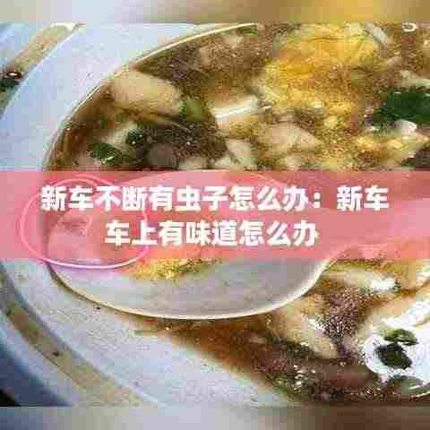 新车不断有虫子怎么办:新车车上有味道怎么办