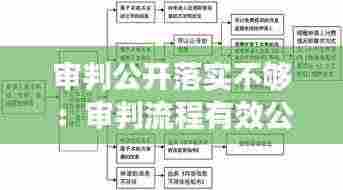 审判公开落实不够:审判流程有效公开率低的原因