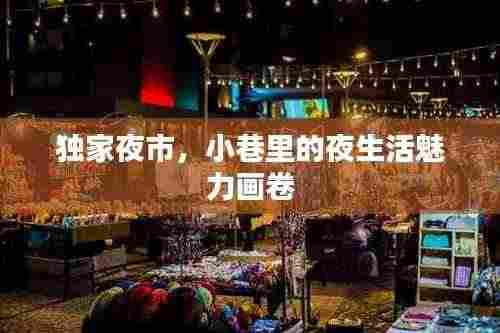独家夜市,小巷里的夜生活魅力画卷