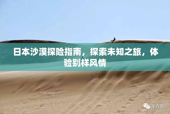 日本沙漠探险指南，探索未知之旅，体验别样风情