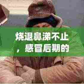 烧退鼻涕不止,感冒后期的恢复要点与注意事项全解析