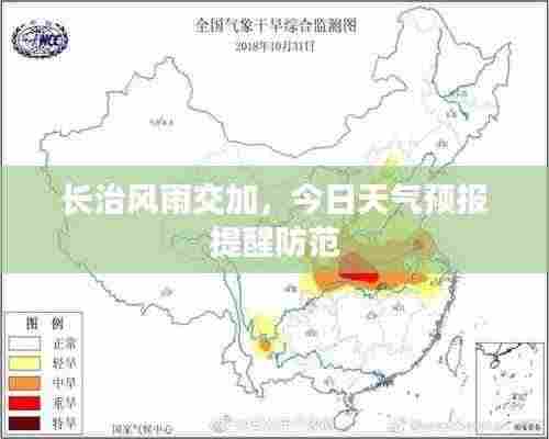 伤弓之鸟 第3页