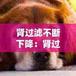 肾过滤不断下降：肾过滤低怎么办 