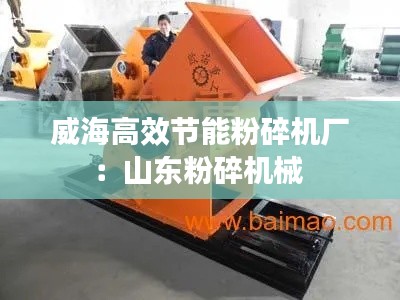 威海高效节能粉碎机厂:山东粉碎机械