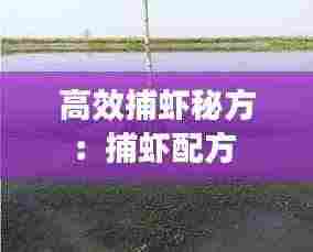 高效捕虾秘方:捕虾配方