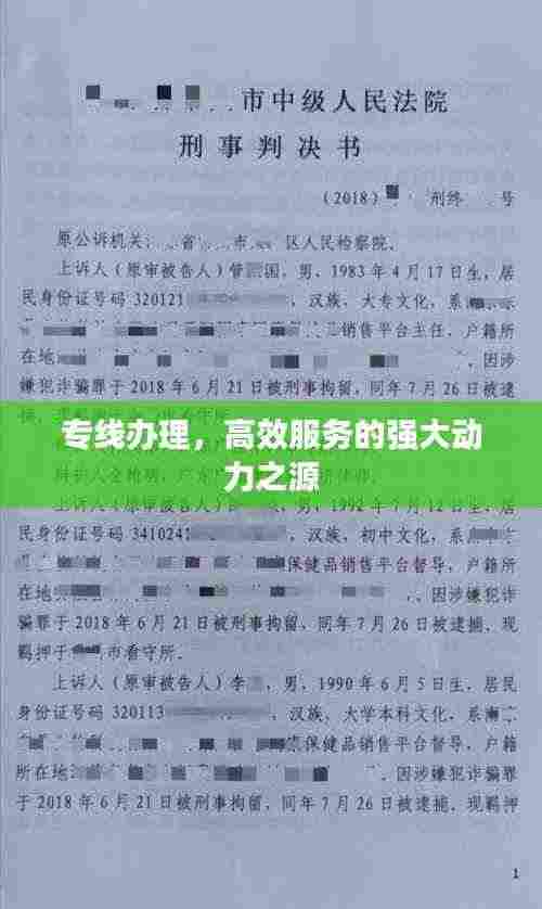 专线办理，高效服务的强大动力之源