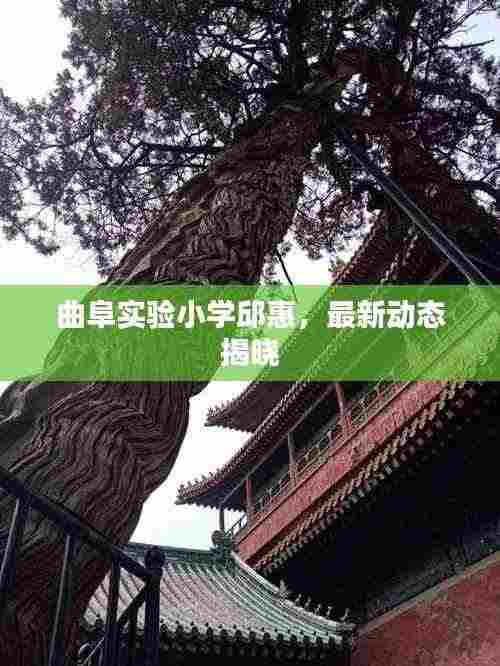 曲阜实验小学邱惠，最新动态揭晓