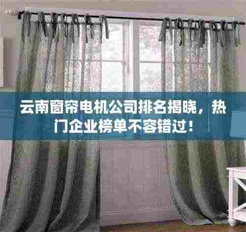 云南窗帘电机公司排名揭晓,热门企业榜单不容错过!