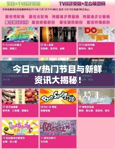 今日TV热门节目与新鲜资讯大揭秘!